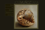 José Muñoz Tapia